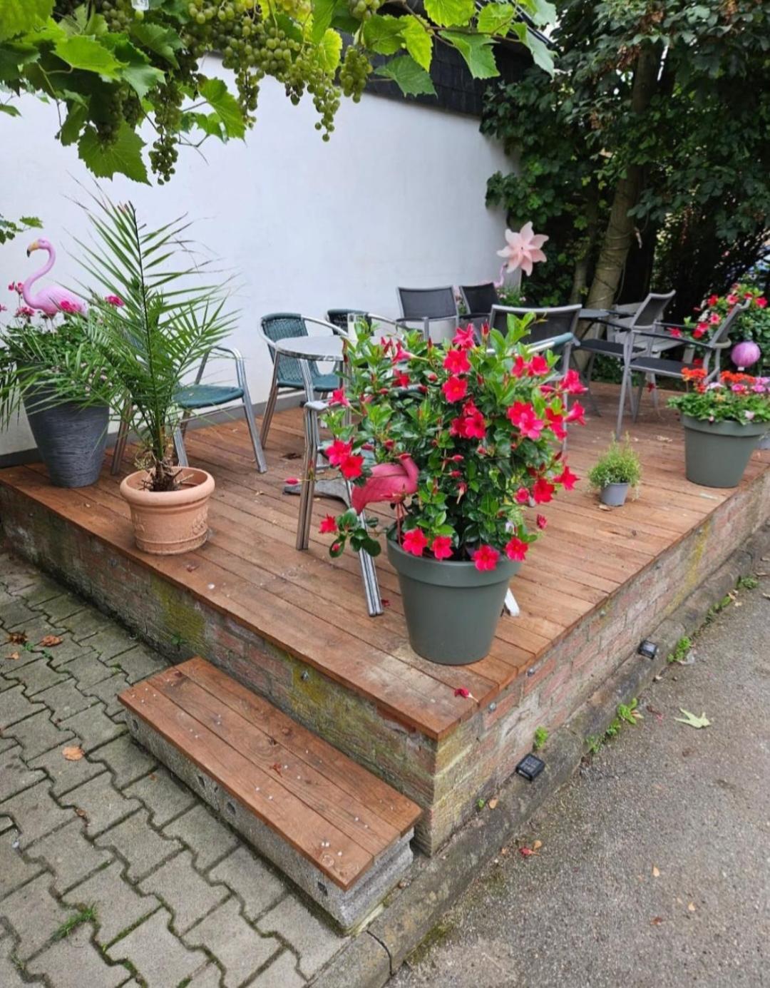 Pension Mediterrano Bedburg Exteriör bild